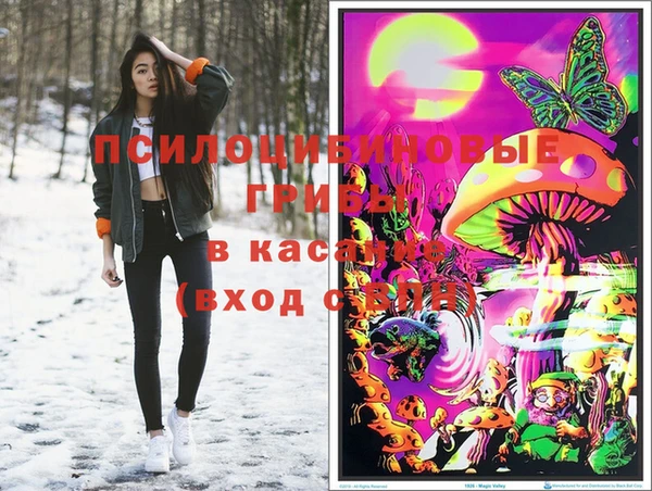 apvp Коряжма