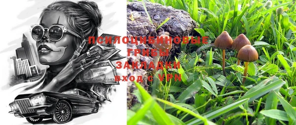 apvp Коряжма