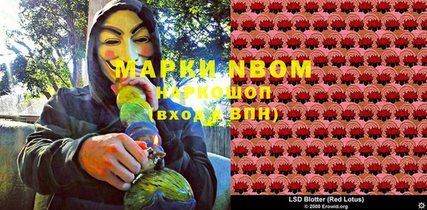 apvp Коряжма