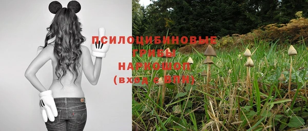 мескалин Корсаков