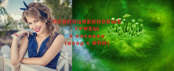 apvp Коряжма