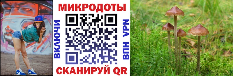 МЕГА ссылка  Торопец  Галлюциногенные грибы Psilocybine cubensis 