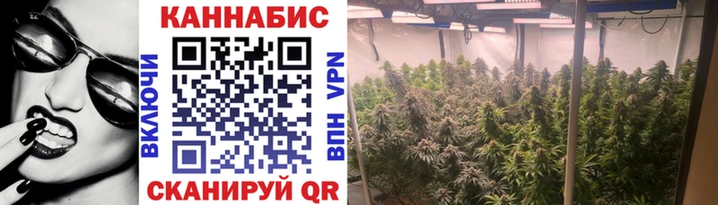 Каннабис SATIVA & INDICA  что такое наркотик  Торопец 